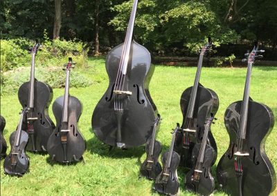 Carbon Fiber Musical Instruments