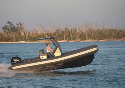 Structural Carbon Arch