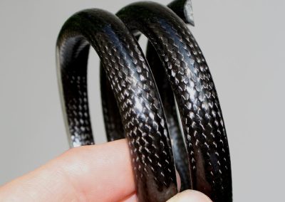 Carbon Fiber Load-Bearing Spri